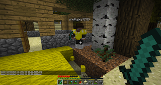 screen shot